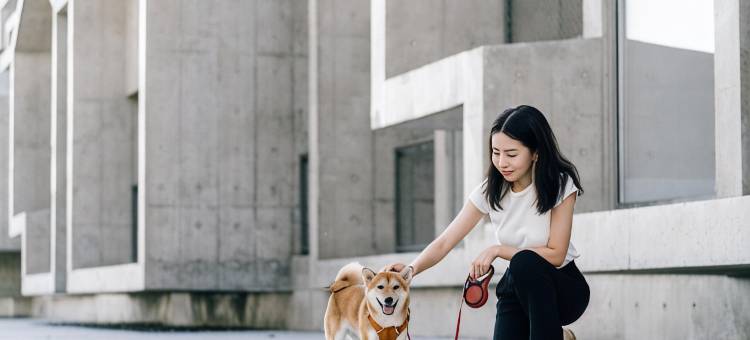 北戴河新区犬舍酒店图片