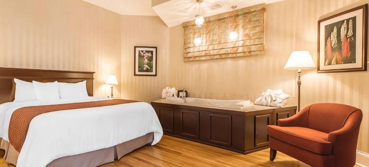 凯艺套房酒店-市区(Quality Inn & Suites Downtown)图片