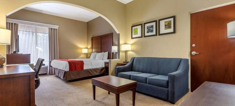 莫克斯维尔 I-40 舒适套房酒店(Comfort Inn & Suites Mocksville I-40)图片