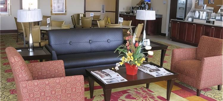 智选假日套房酒店奥兰多南，达文波特(Holiday Inn Express & Suites ORLANDO SOUTH-DAVENPORT by IHG)图片