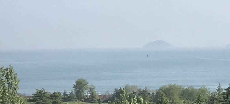 青岛有水地方公寓图片