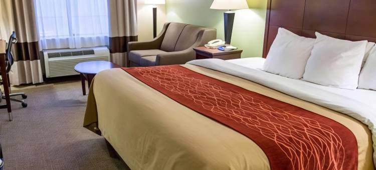 什里夫波特I-49舒适酒店(Comfort Inn Shreveport I-49)图片