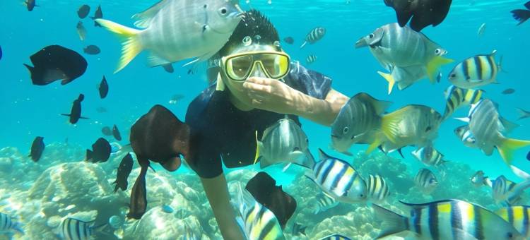 阿米拉简易别墅旅馆(Amira Bungalow Iboih)图片