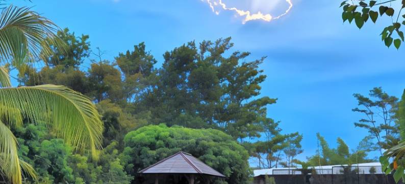 婆罗浮屠床和早餐 - 旅馆(Borobudur Bed & Breakfast)图片