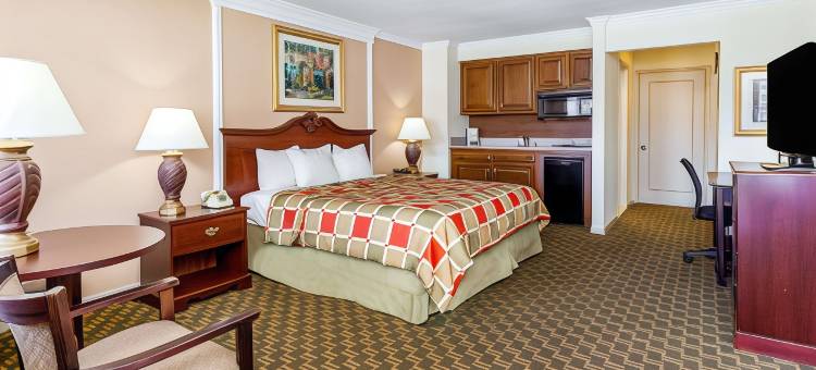 罗斯维尔/底特律地区温德姆戴斯套房酒店(Days Inn & Suites by Wyndham Roseville/Detroit Area)图片