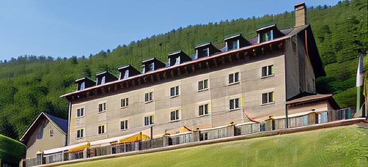 贝尔萨帕拉多尔酒店(Parador de Bielsa)图片