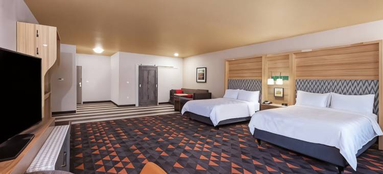 阿马里洛东假日酒店(Holiday Inn Amarillo East)图片