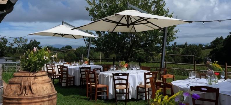 索多勒乡村高尔夫度假村(Le Sodole Country Resort & Golf)图片