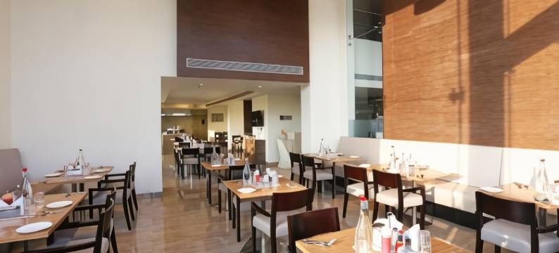 希尔迪神庙树酒店，丽笙精选成员(Temple Tree Hotel Shirdi, a member of Radisson Individuals)图片