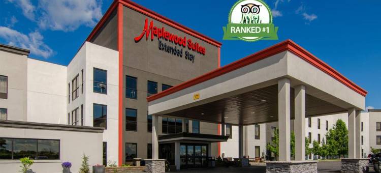 锡拉丘兹机场假日套房酒店(Holiday Inn & Suites - Syracuse/Airport)图片