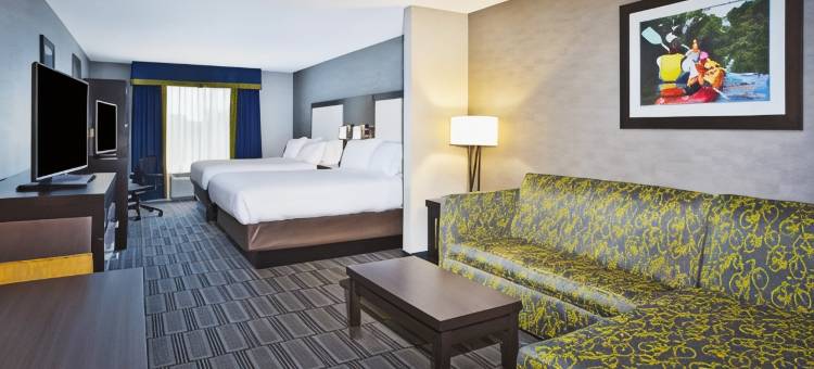 安阿伯西智选假日套房酒店(Holiday Inn Express & Suites Ann Arbor West)图片