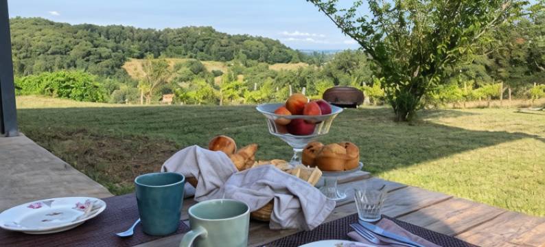 拉布鲁姆领地(Domaine Labouroume)图片