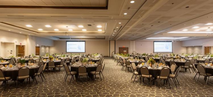 锡达福尔斯希尔顿花园酒店(Hilton Garden Inn Cedar Falls)图片