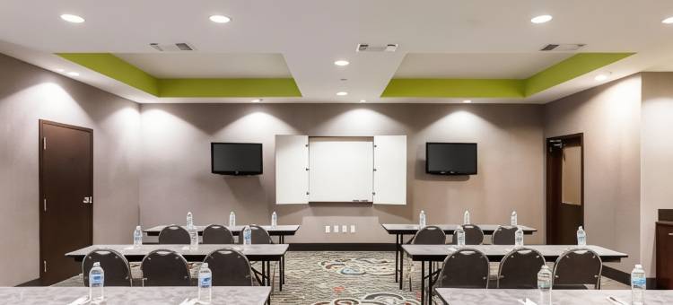 格林维尔舒适套房酒店(Comfort Suites Greenville)图片