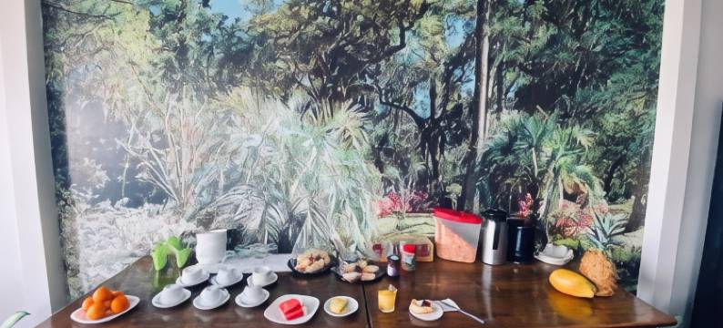 图坎阿拉胡埃拉酒店(Hotel El Tucan Alajuela)图片