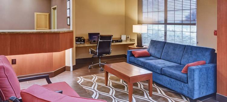 罗阿诺克-北沃斯堡舒适全套房酒店(Comfort Suites Roanoke - Fort Worth North)图片