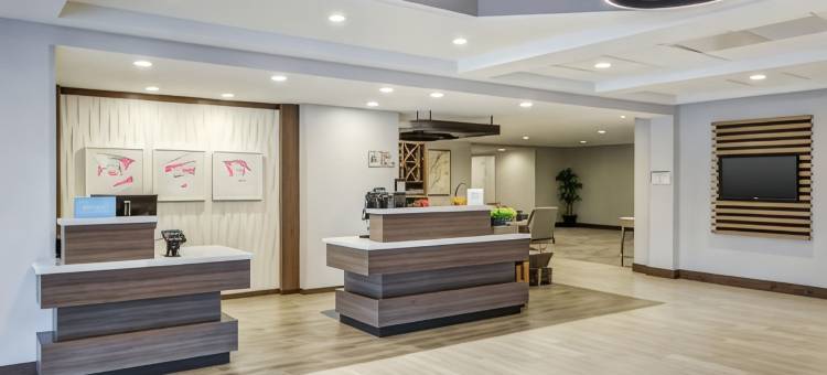 沃尔瑟姆市希尔顿花园酒店(Hilton Garden Inn Boston Waltham)图片