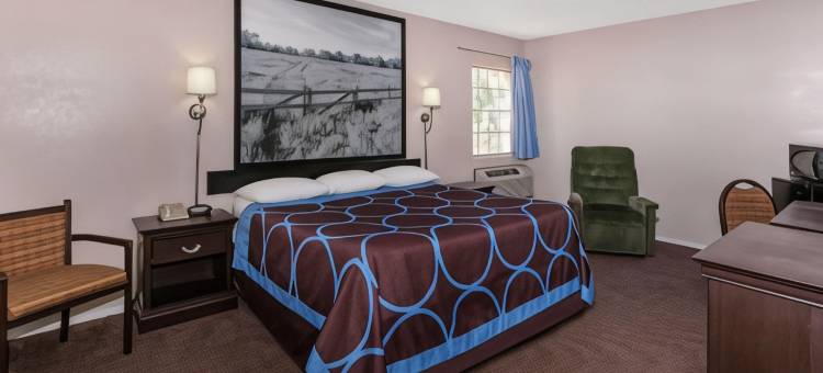 拉伯克市民中心北速8酒店(Super 8 by Wyndham Lubbock Civic Center North)图片