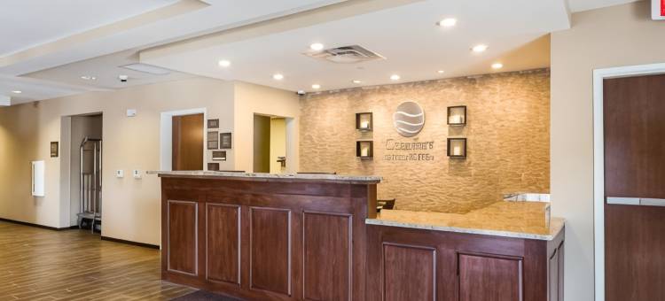 舒适套房酒店(Comfort Inn & Suites Zachary)图片