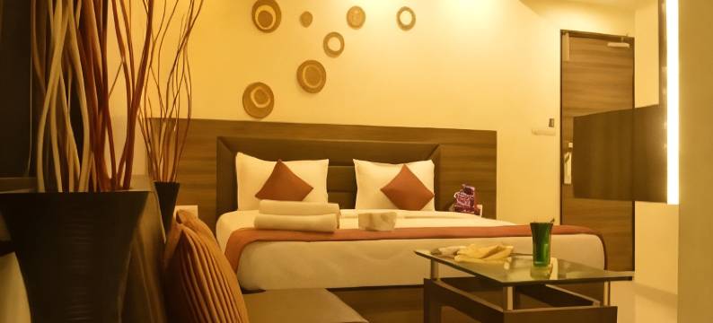 阿希什酒店(Hotel Ashish)图片