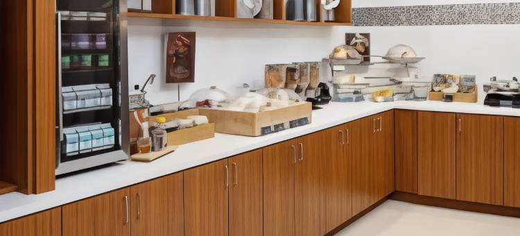 格林贝SpringHill Suites 酒店(SpringHill Suites Green Bay)图片