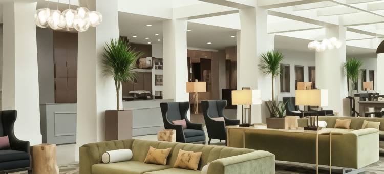 洛特爱斯丽希尔顿安泊酒店(Embassy Suites by Hilton Charlotte Ayrsley)图片