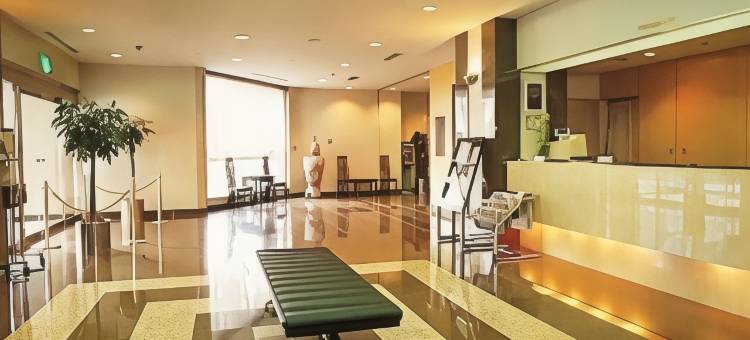 冈山卓越酒店(Hotel Excel Okayama)图片
