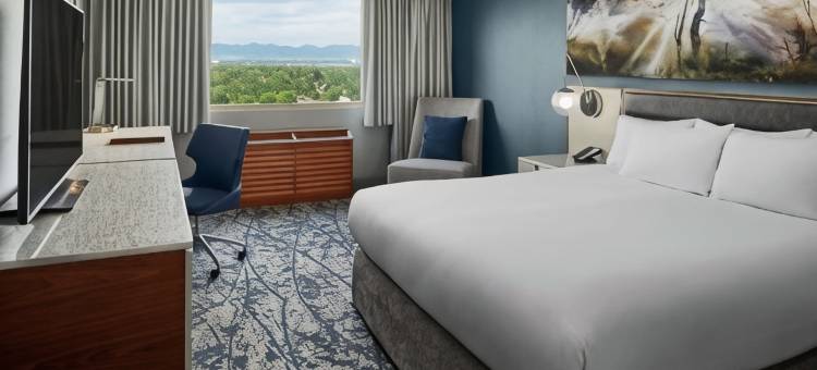 丹佛希尔顿逸林酒店(DoubleTree by Hilton Hotel Denver)图片