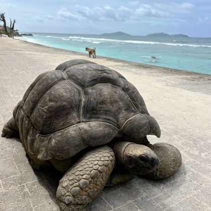 塞舌尔6日5晚私家团