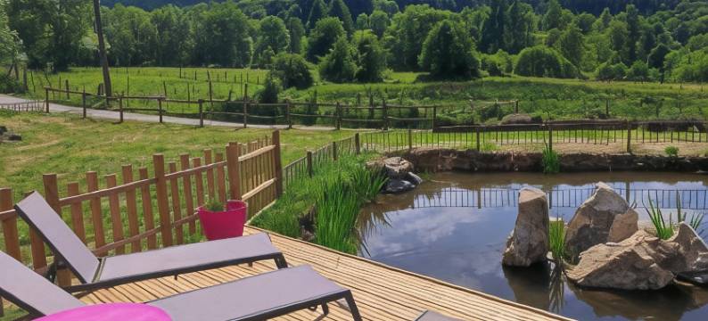 福蒂磨坊酒店(Le Moulin de la Fortie, Maison d'hôtes)图片