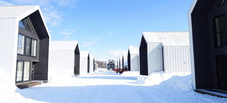 Niseko White Villa II Annupuri图片
