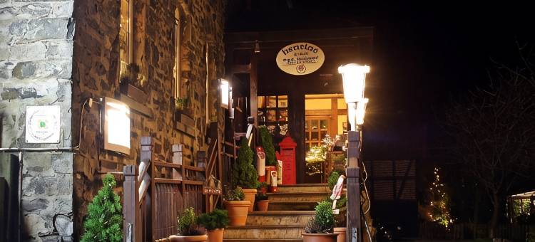 亨布拉斯酒店(Henblas Hotel)图片