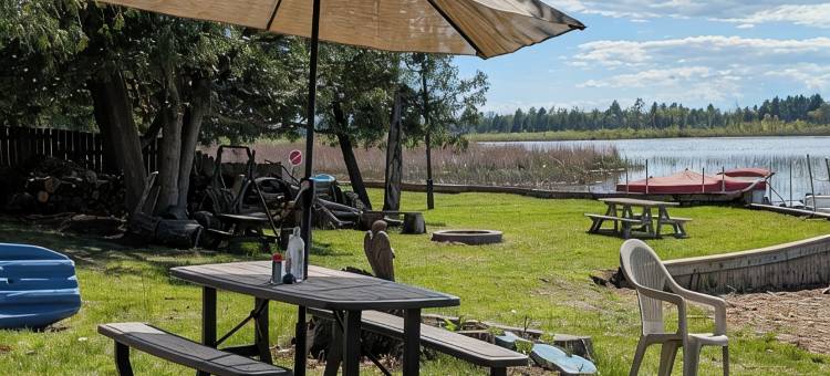 Charming 4-bedroom cottage ON Tawas Lake Pet, kid-friendly. Great Bird watching!图片