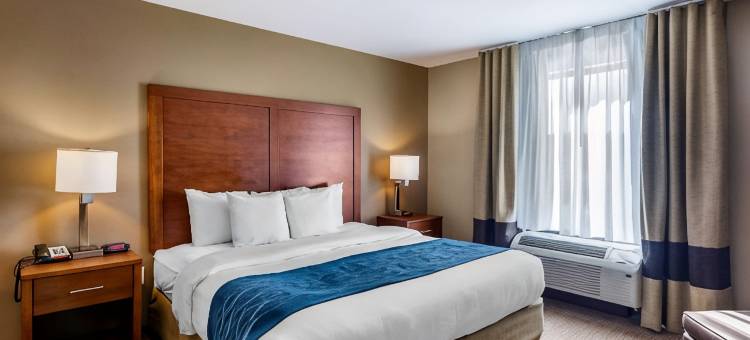 南切斯特菲尔德-科隆尼尔海次舒适酒店(Comfort Inn South Chesterfield - Colonial Heights)图片