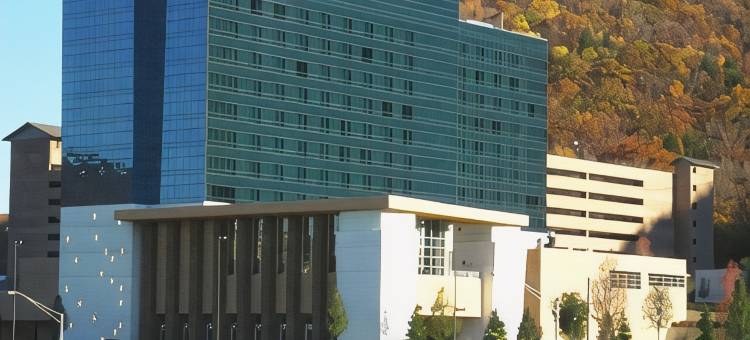 布拉德福德贝斯特韦斯特优质酒店(Best Western Plus Bradford Inn)图片