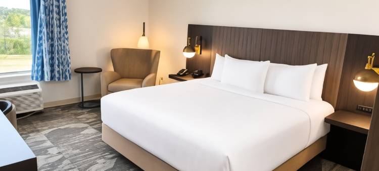 拉昆塔温德姆梅班套房酒店(La Quinta Inn & Suites by Wyndham Mebane)图片