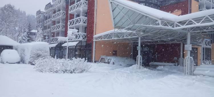 公园酒店(Hotel am Park)图片