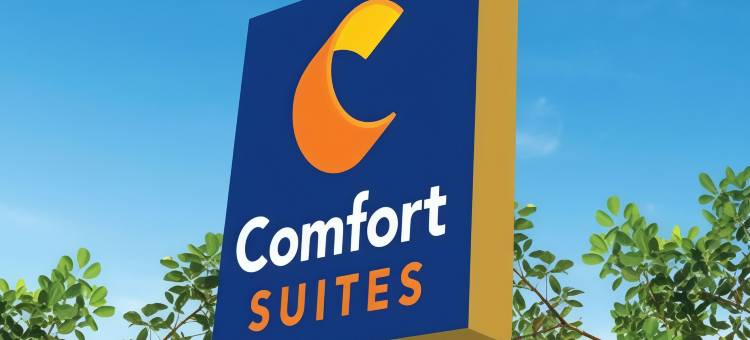 舒适套房酒店(Comfort Suites)图片