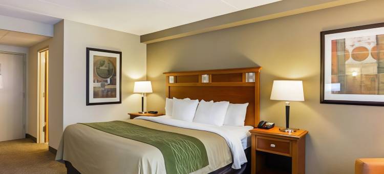 赫恩登 - 里斯顿舒适酒店(Comfort Inn Herndon-Reston)图片
