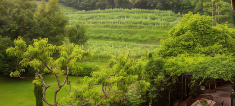普林西比帕克酒店(Park Hotel Principe)图片