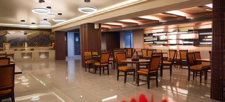 安巴套房酒店(Siara Styles Amba Suites, Gandhinagar)图片