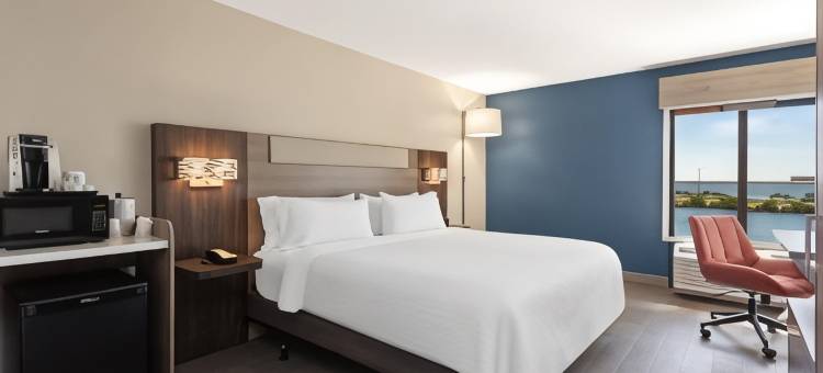 坦帕机场智选假日酒店(Holiday Inn Express & Suites Tampa Airport)图片