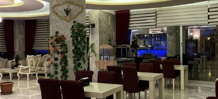 亚泽大酒店(Grand Ezel Hotel)图片