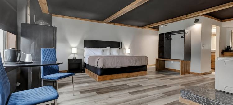 Hotel Lex, Trademark Collection by Wyndham图片