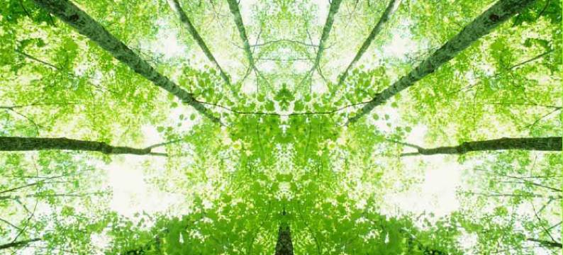 hotelF1 雷恩东南尚特皮(Hotelf1 Rennes Sud Est Chantepie)图片