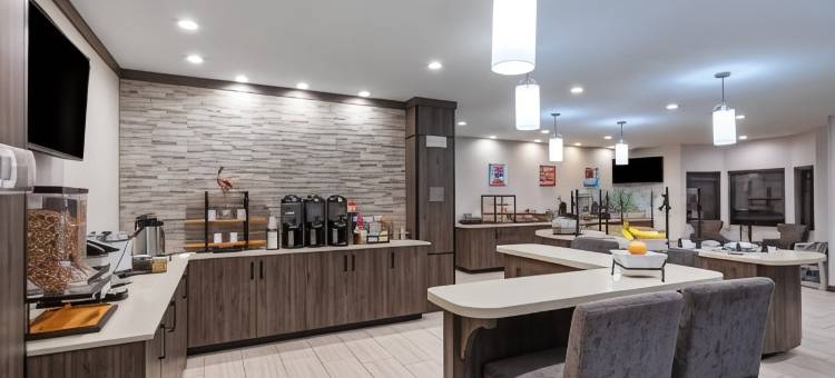 IAH机场东Staybridge Suites(Staybridge Suites IAH AIRPORT EAST by IHG)图片