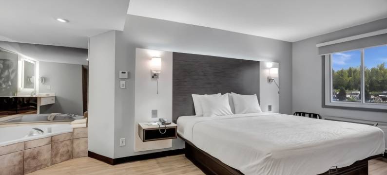 温德姆戴斯套房酒店-尼亚加拉瀑布/布法罗(Days Inn & Suites by Wyndham Niagara Falls/Buffalo)图片