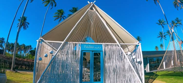 Taboo Milagres图片