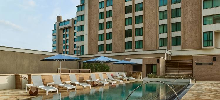 达拉斯高地格芮精选希尔顿酒店(The Highland Dallas, Curio Collection by Hilton)图片