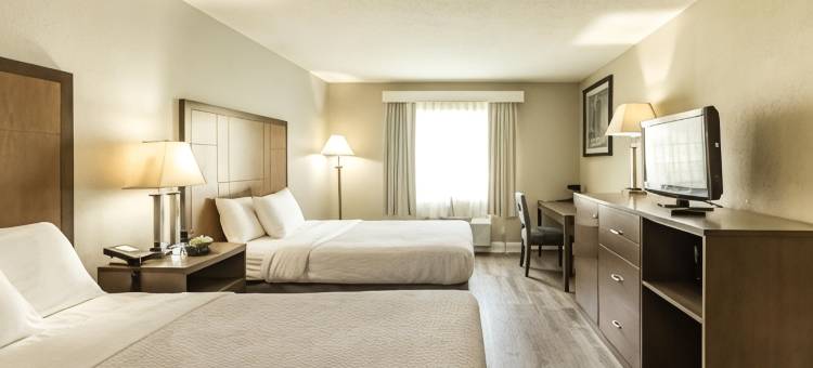 里士满南拉昆塔温德姆酒店(La Quinta Inn by Wyndham Richmond South)图片